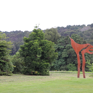 Walking with Dinosaurs: explore the trees that dinosaurs walked among image