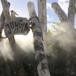 The misty jungle of the Potter Children's Garden