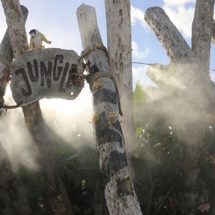 The misty jungle of the Potter Children's Garden