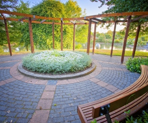 Rock Garden