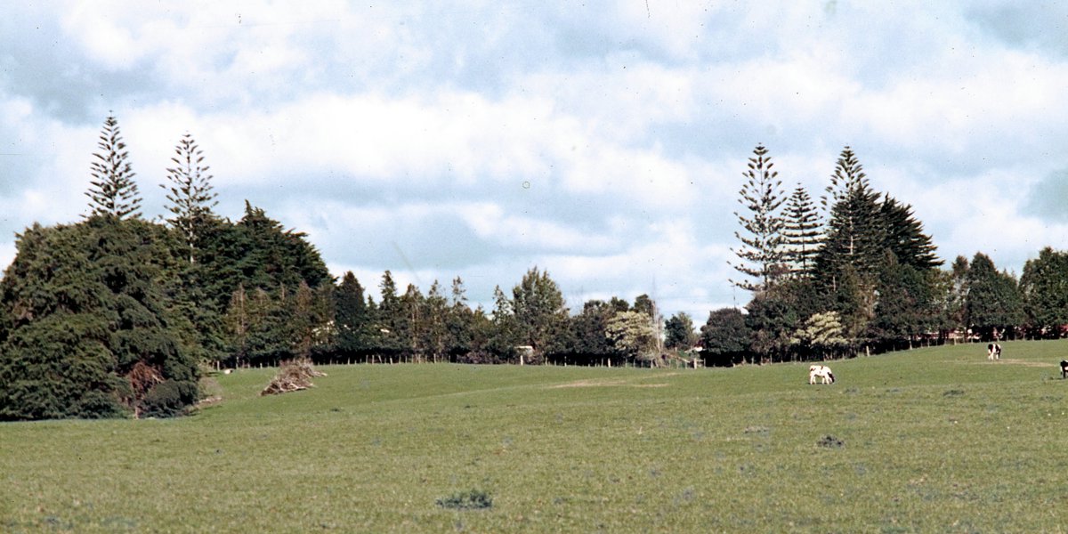 1972. Auckland Botanic Gardens site.