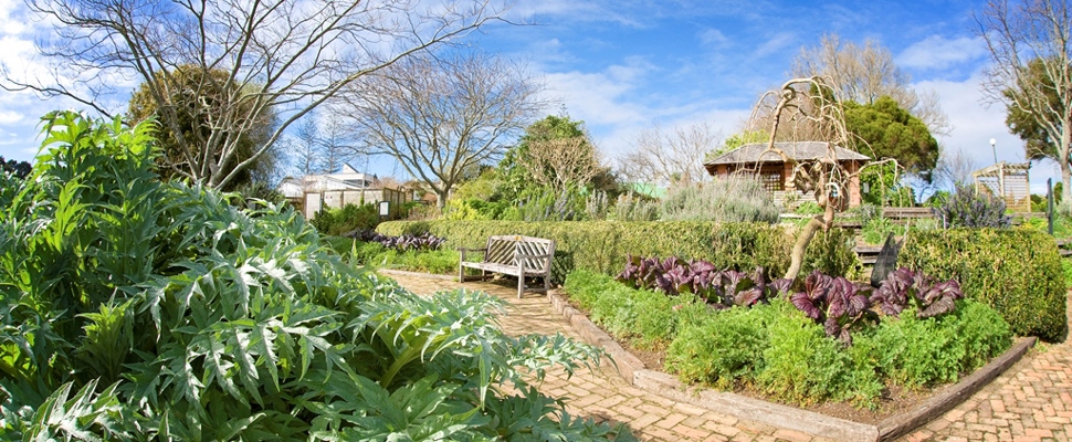 The Herb Garden at the Auckland Botanic Gardens