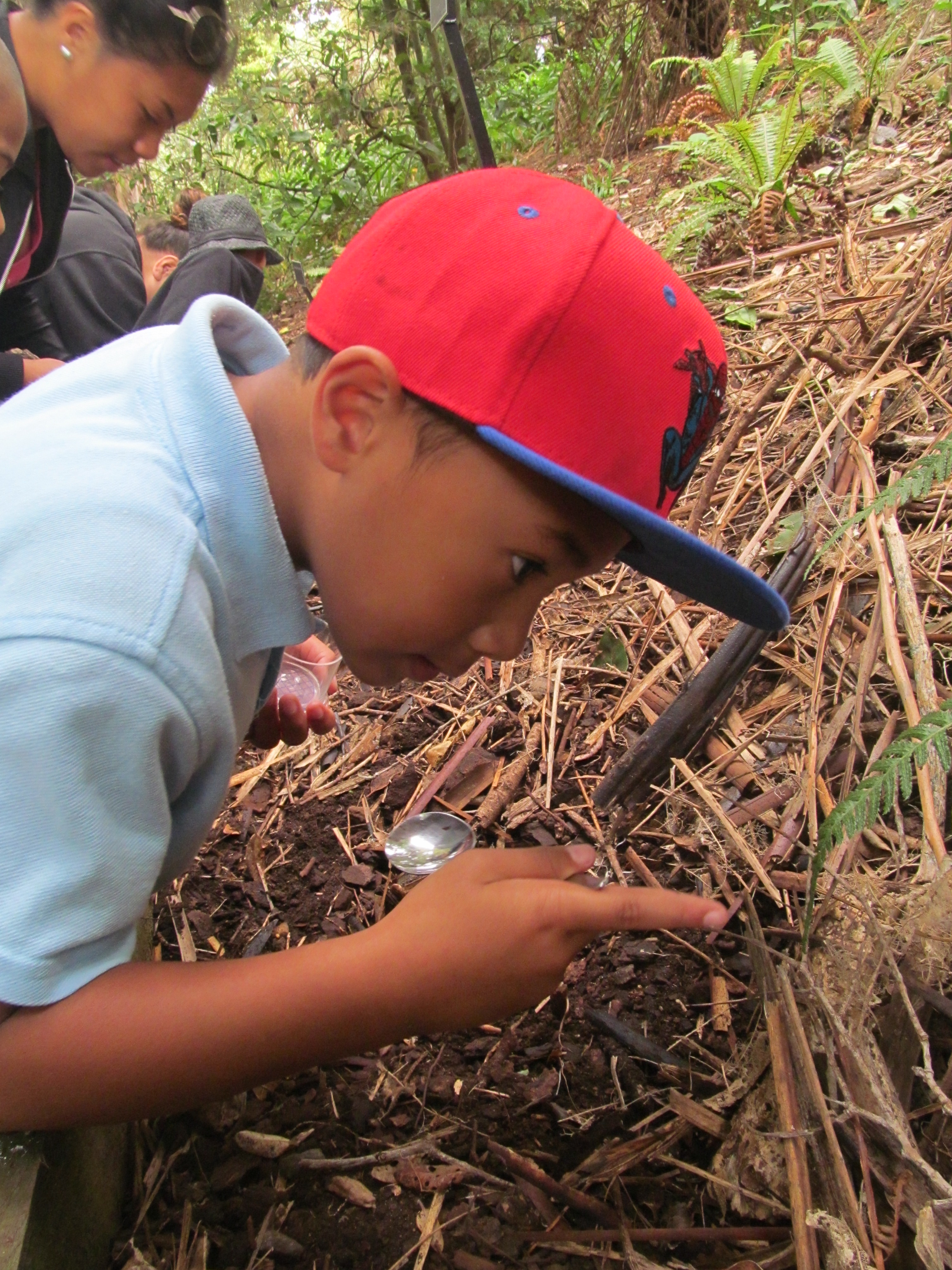 Inspecting invertebrates