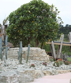 Through the dry desert to reach the misty jungle, Potter Children's Garden