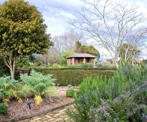 The Herb Garden