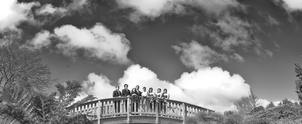 Wedding photography - Rock Garden bridge