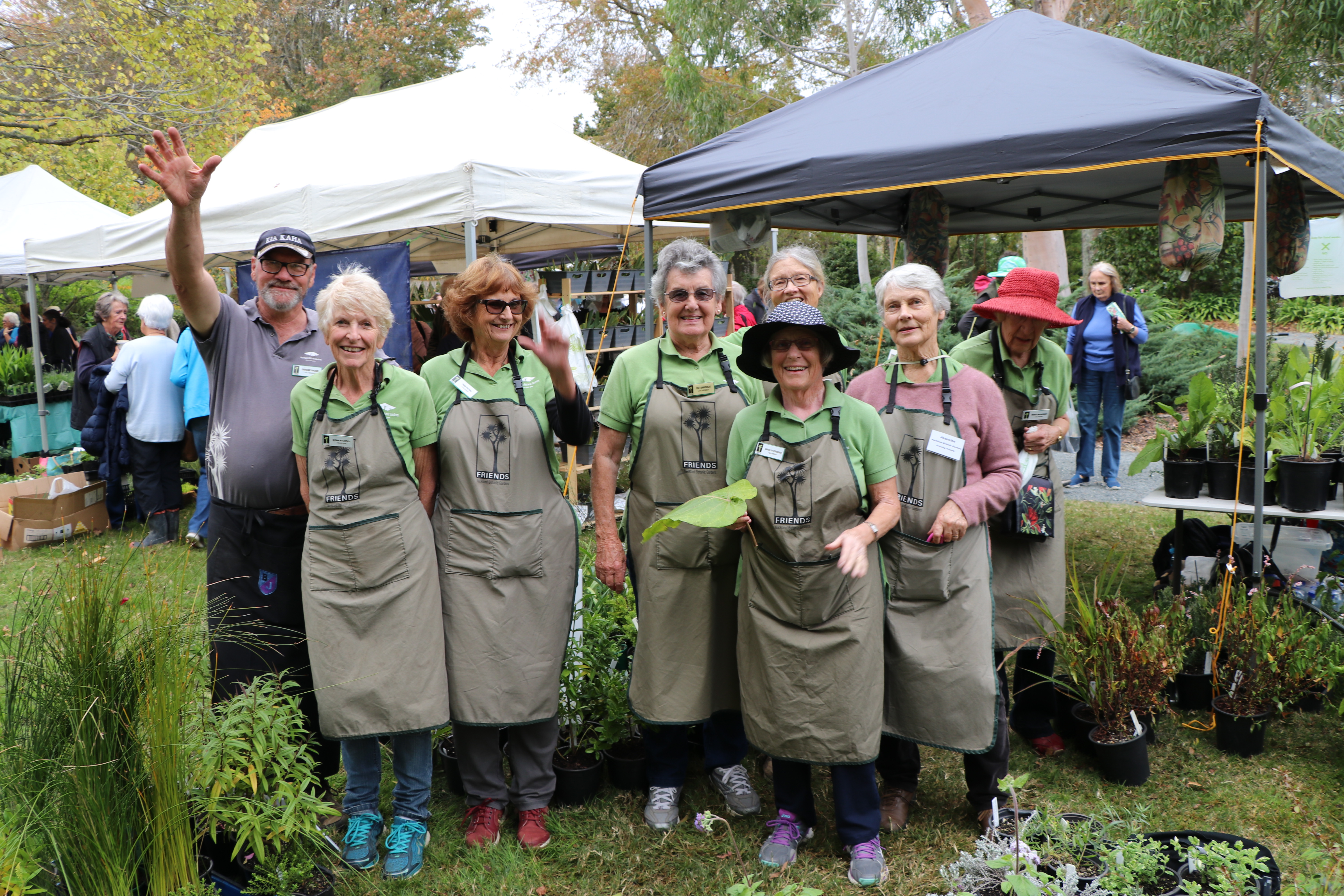 Where to get plants image