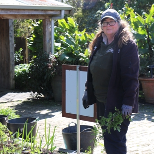 Meet the Gardener June 18 - Join Angela in our Edibles Garden image
