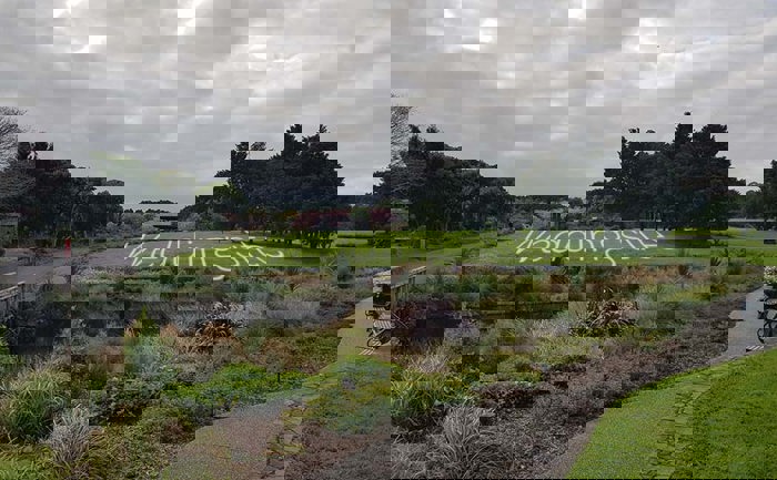 Rose wedding site.jpg