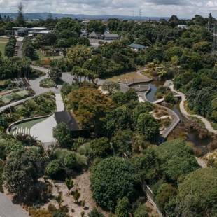 Tree removals image