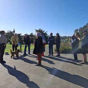 Take a walk on the grassy side image