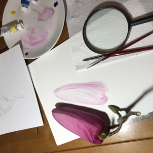 Botanical Watercolours for Beginners image