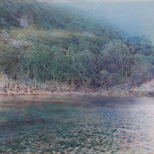 Botanical art workshop with Thomas Paster image