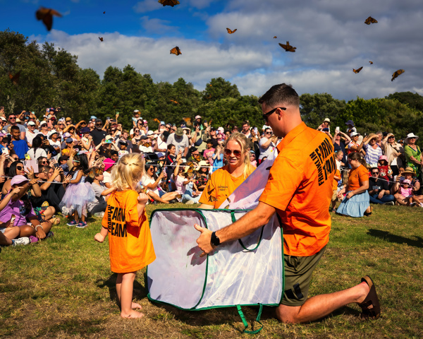 Butterfly Release 1