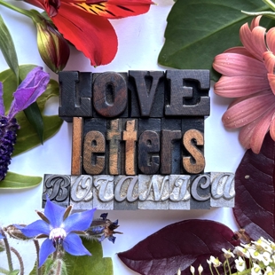Love Letters image