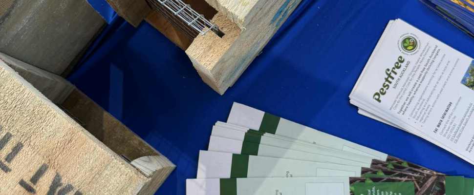  Image shows wooden pest traps with a sticker on top saying 'keep hands clear' alongside some brochures from Forest and Bird.