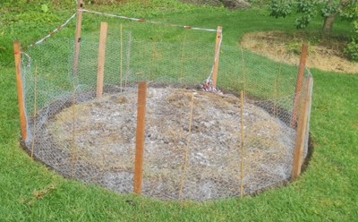 Avocado Story Image 3