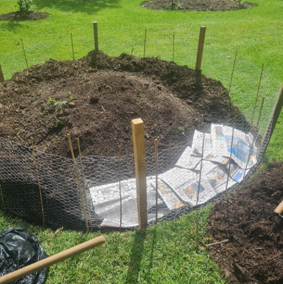 Avocado Story Image 6