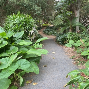 Guided Walking Meditation image