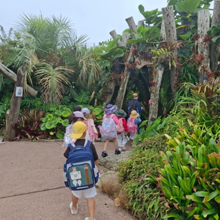 Be a climate action hero image