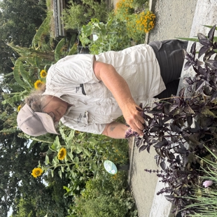 Meet the Gardener Edible Edition: 8th April image